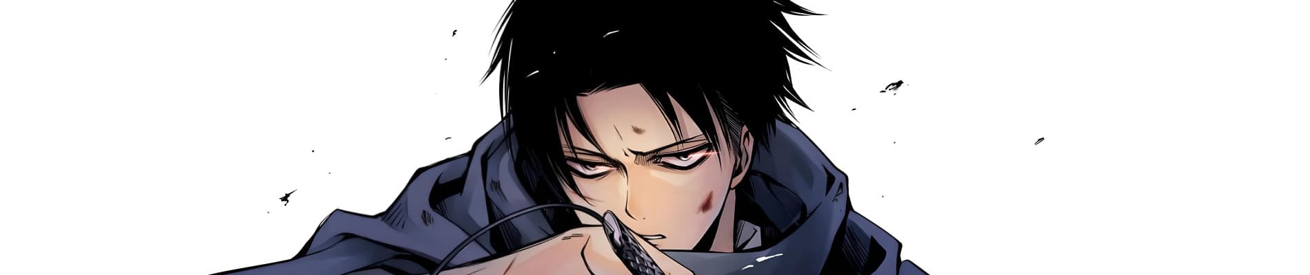 Attack on Titan: No Regrets