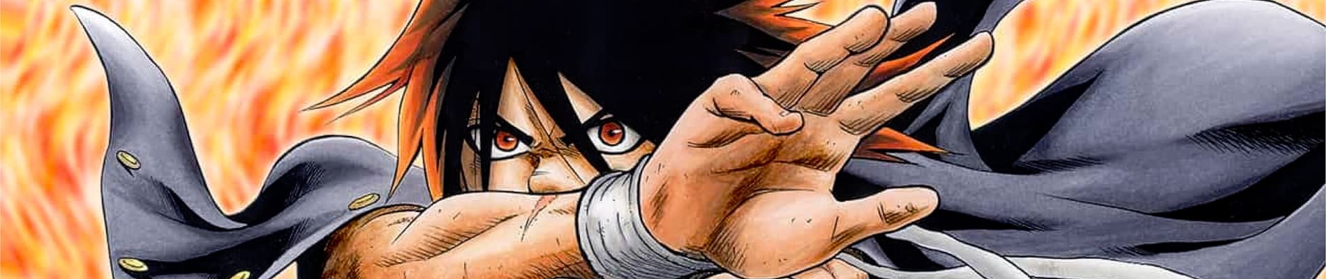 Hinomaru Sumo