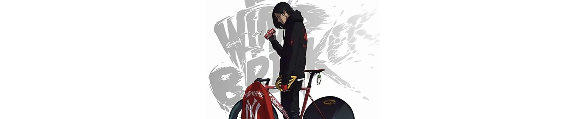 Wind Breaker