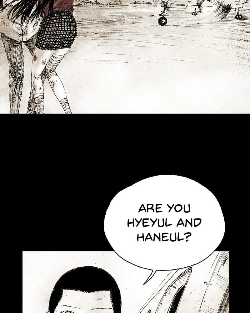 Page 255