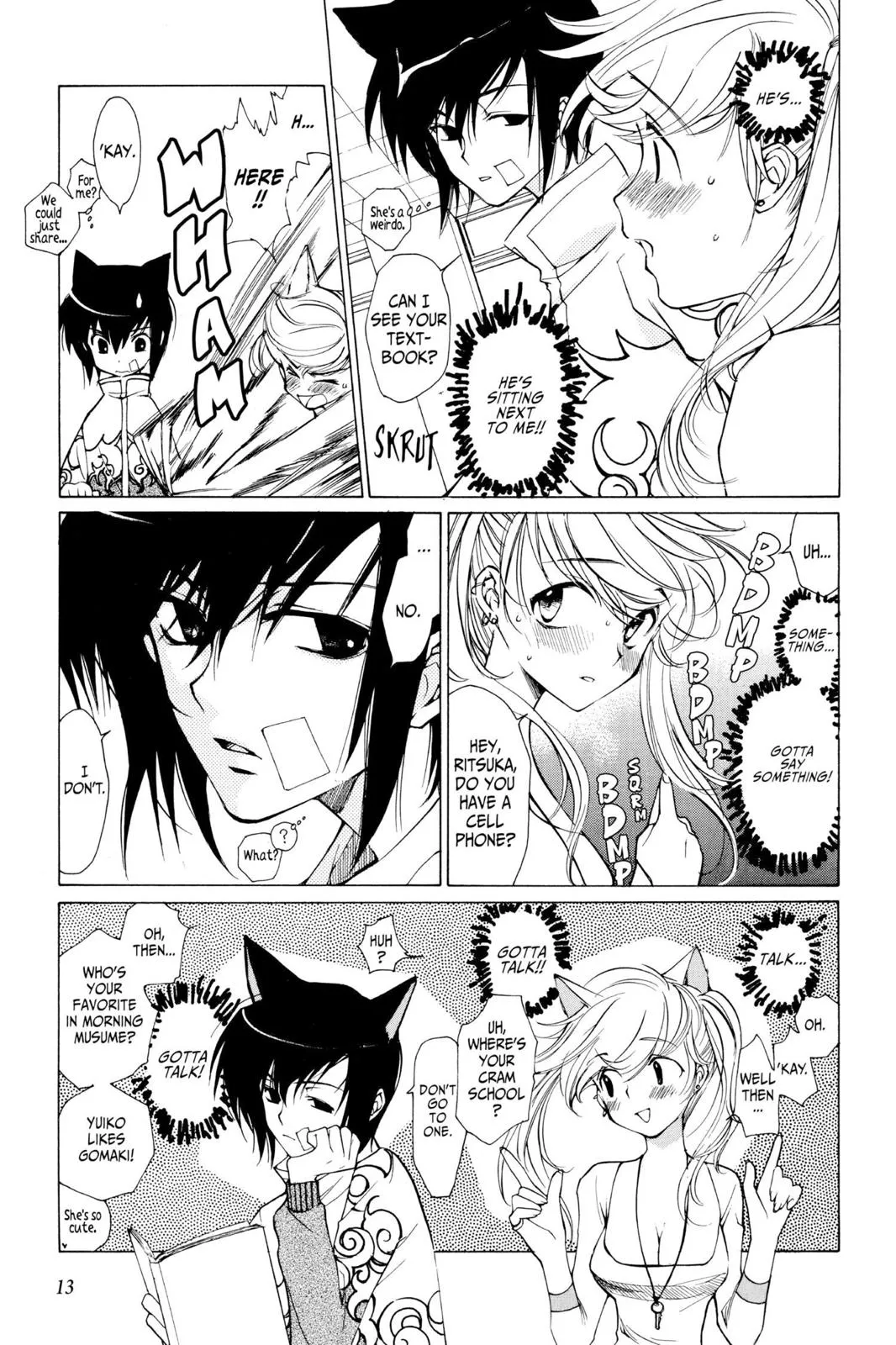 Page 13