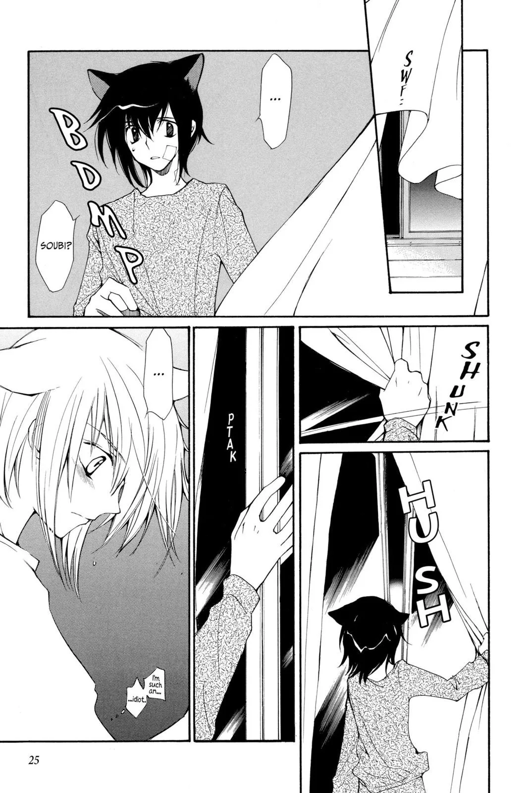 Page 25