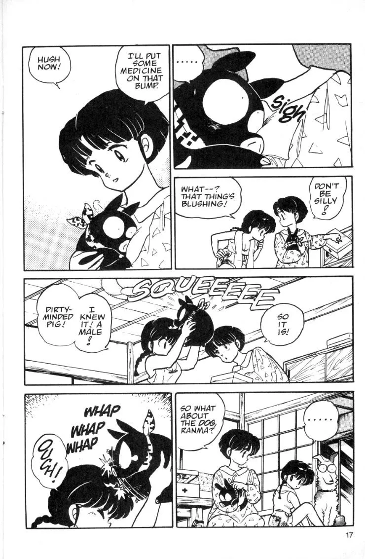Page 17
