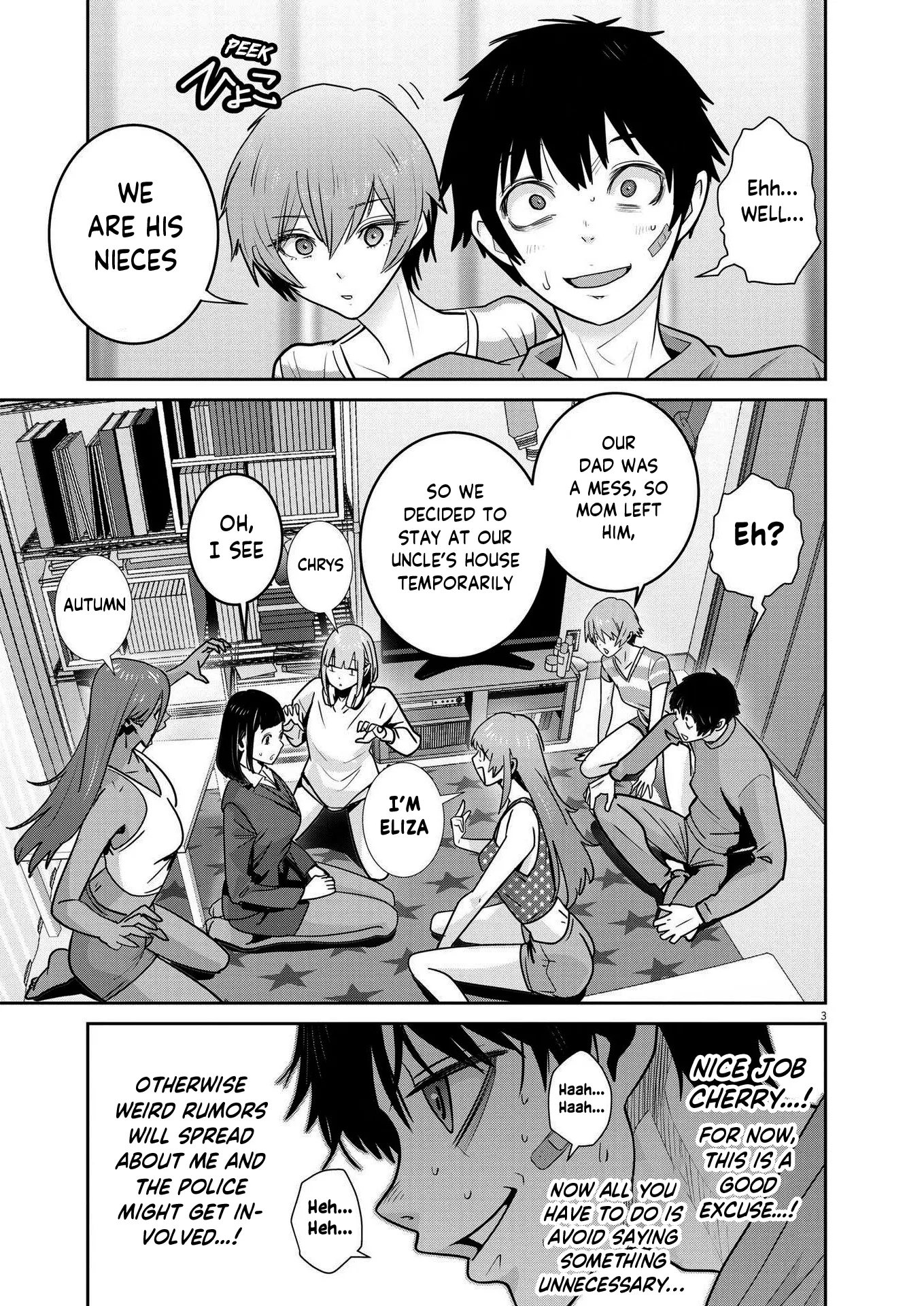 Page 3