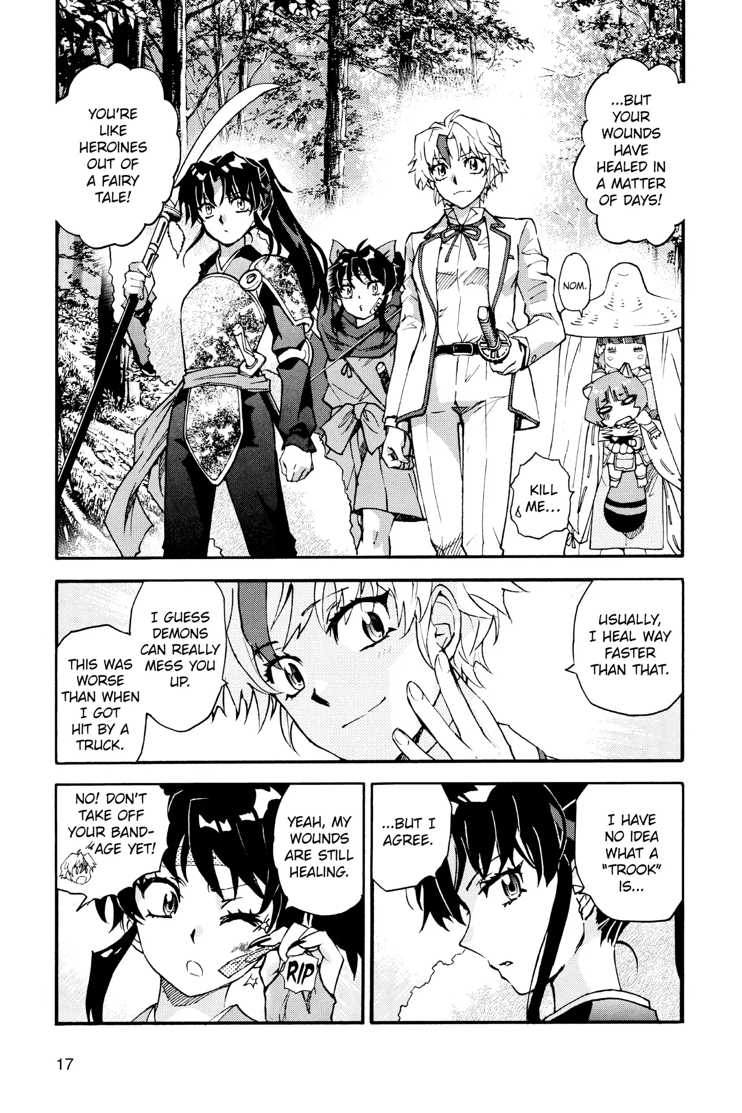 Page 17