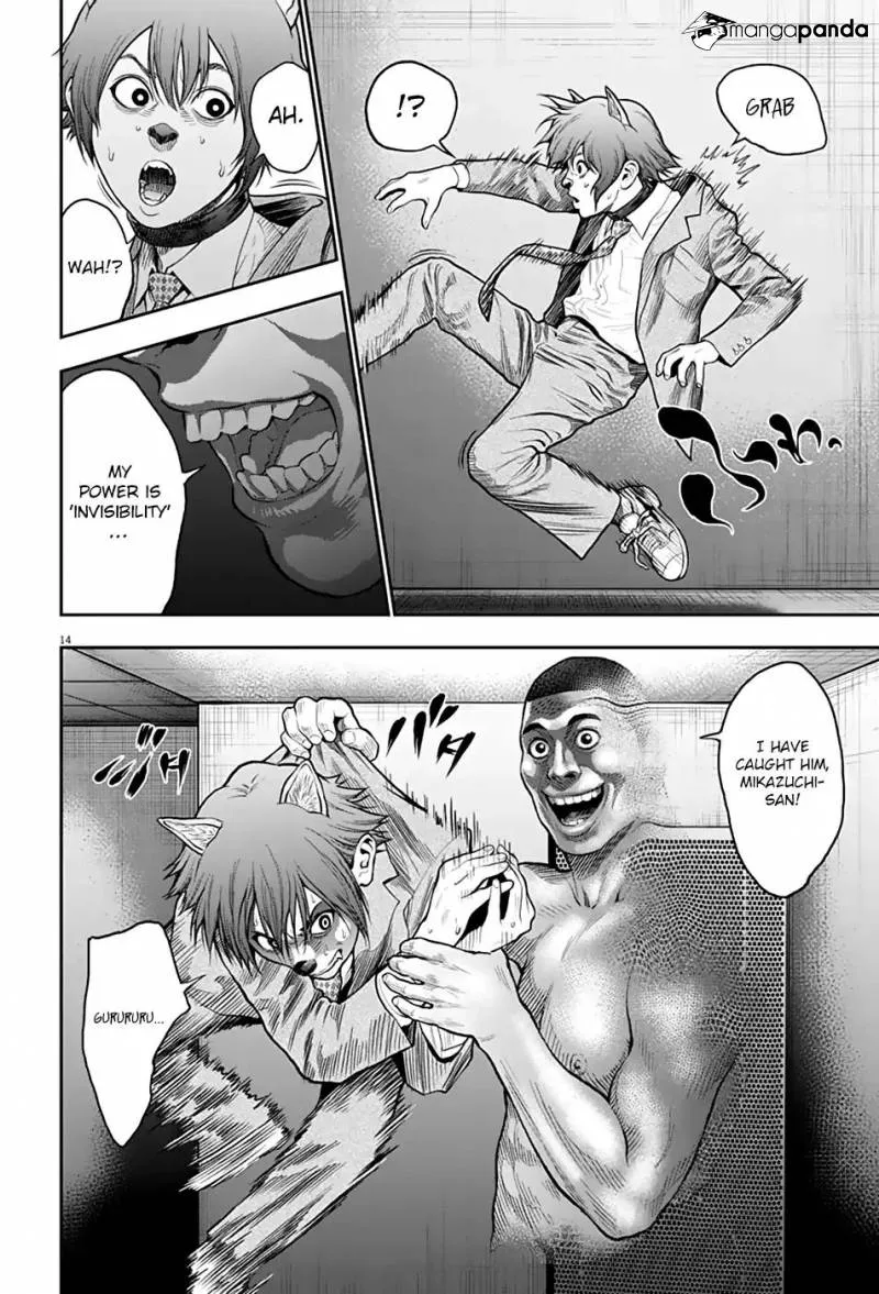 Page 14