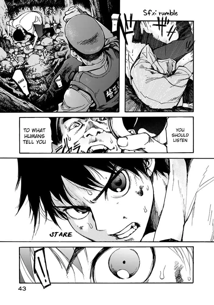 Page 43