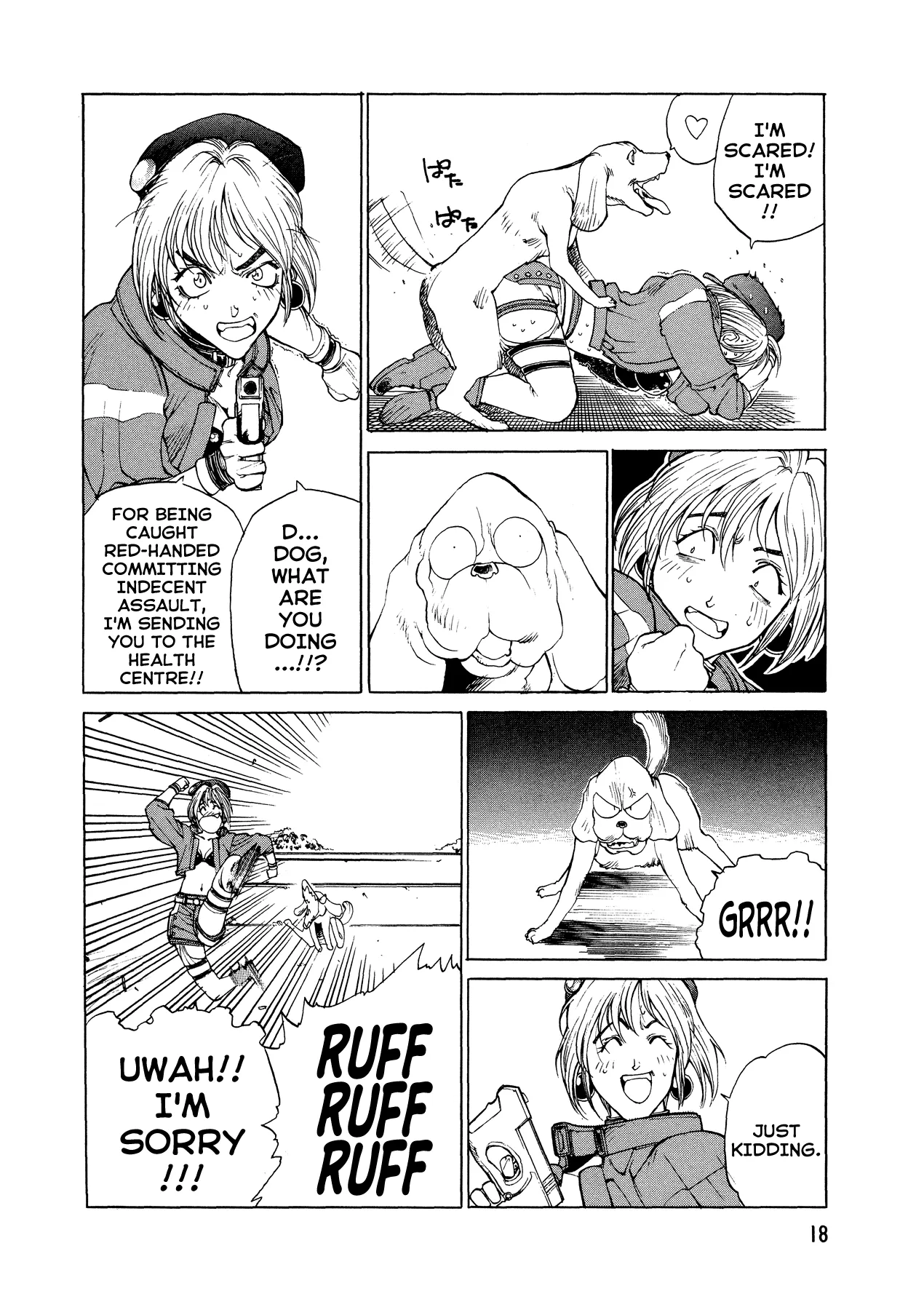 Page 17