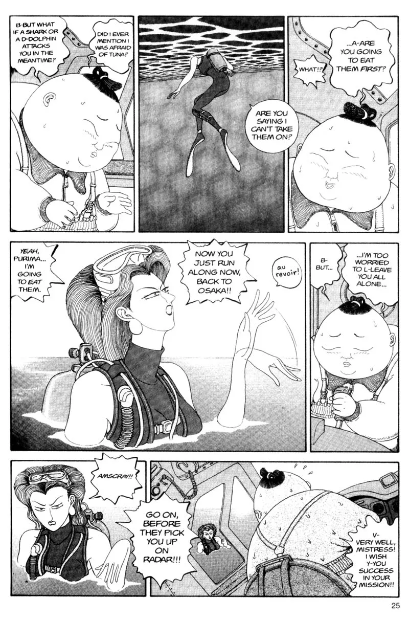 Page 25