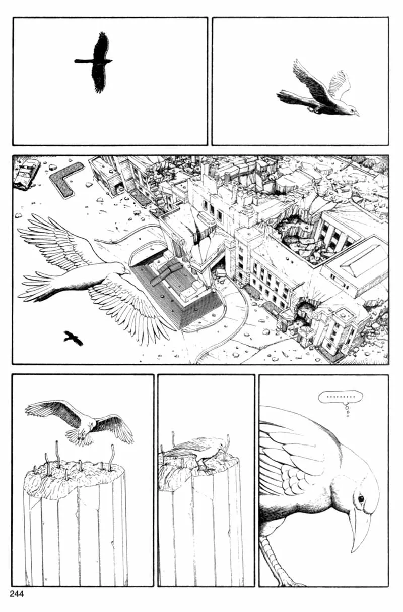 Page 243