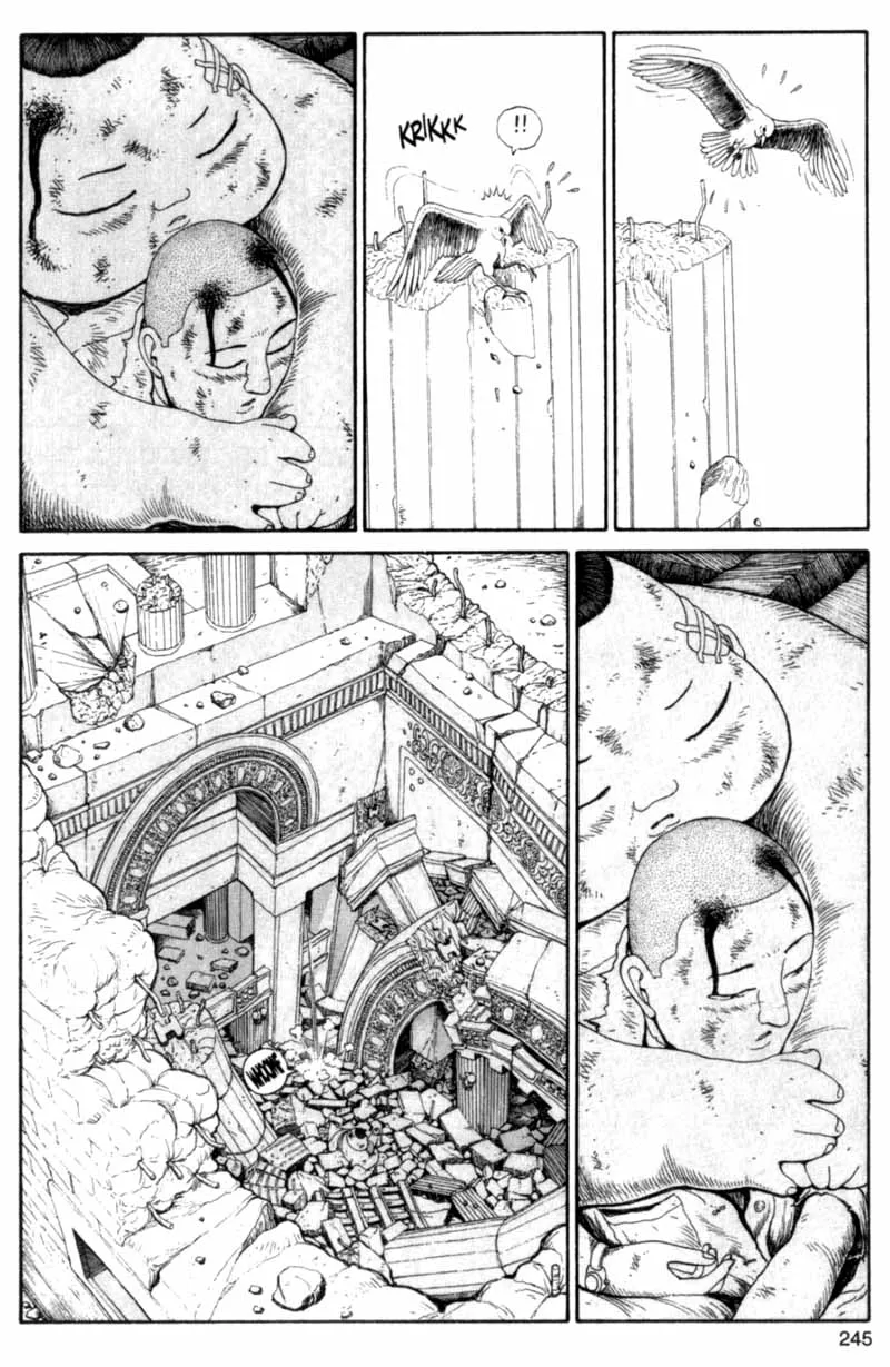 Page 244