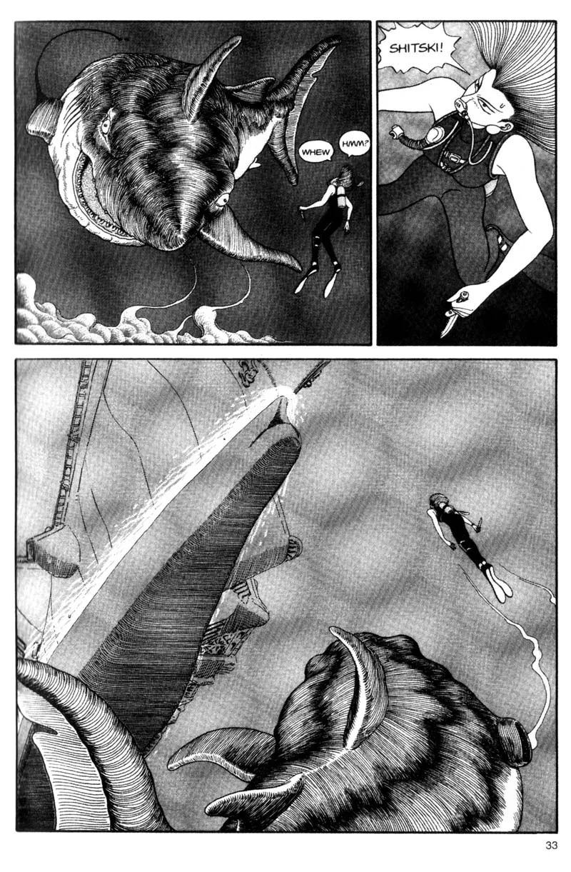Page 33
