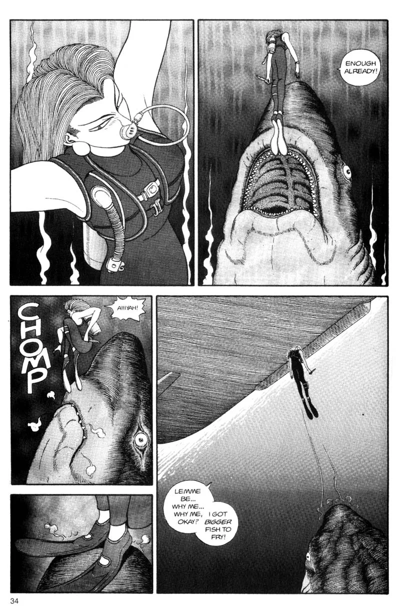 Page 34