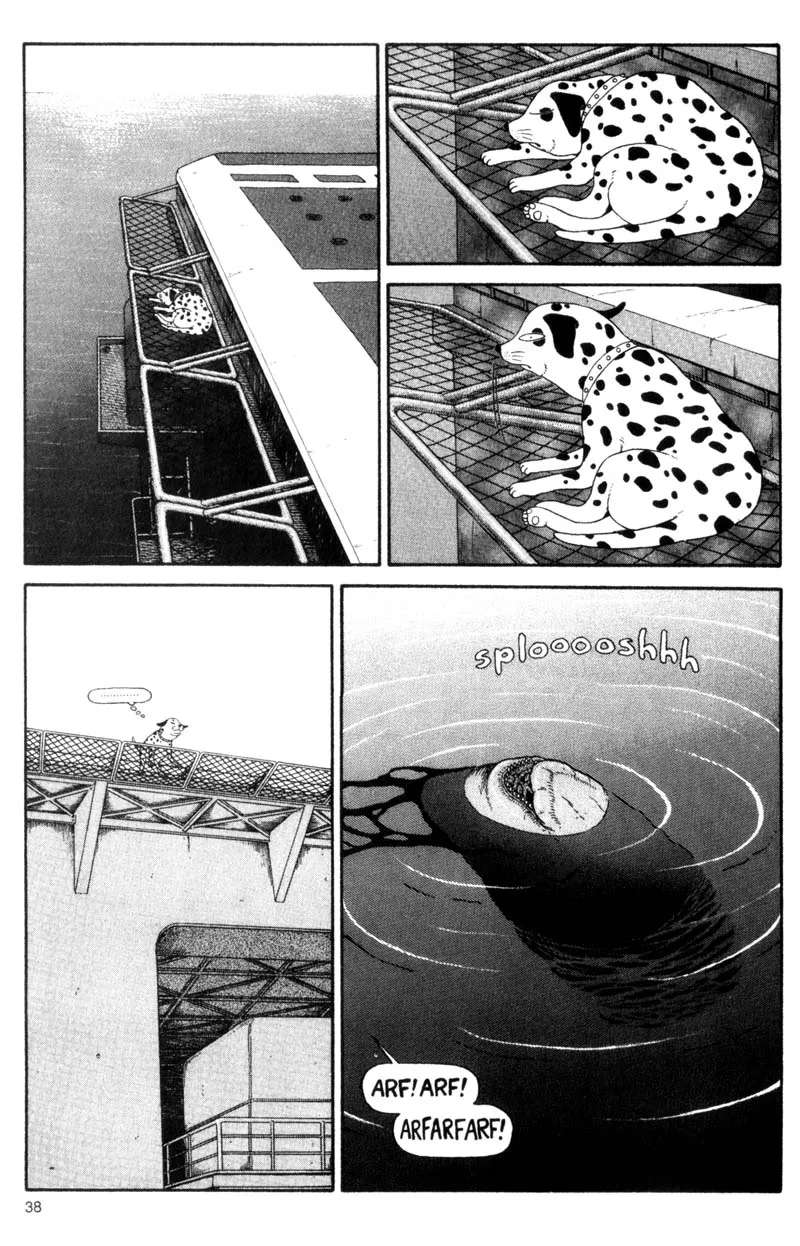 Page 38