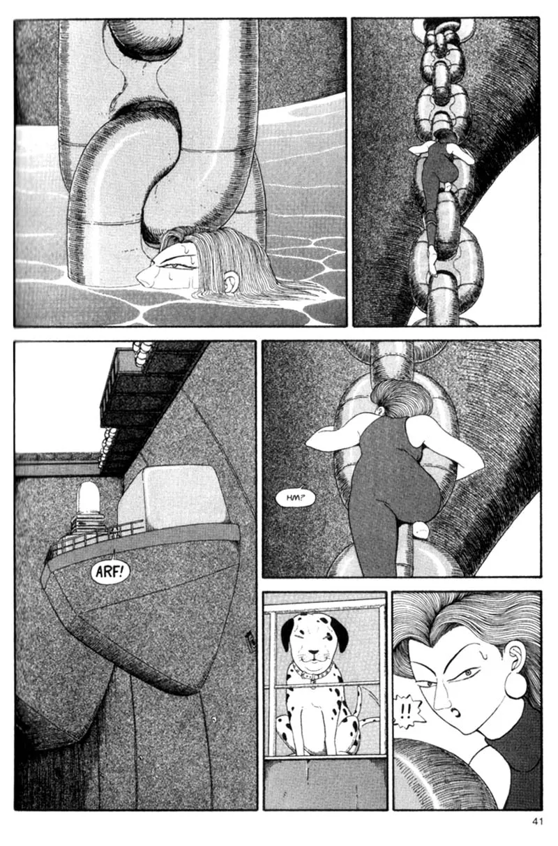 Page 41