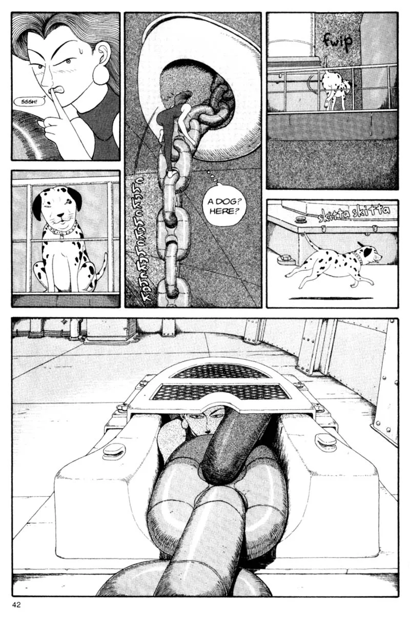 Page 42