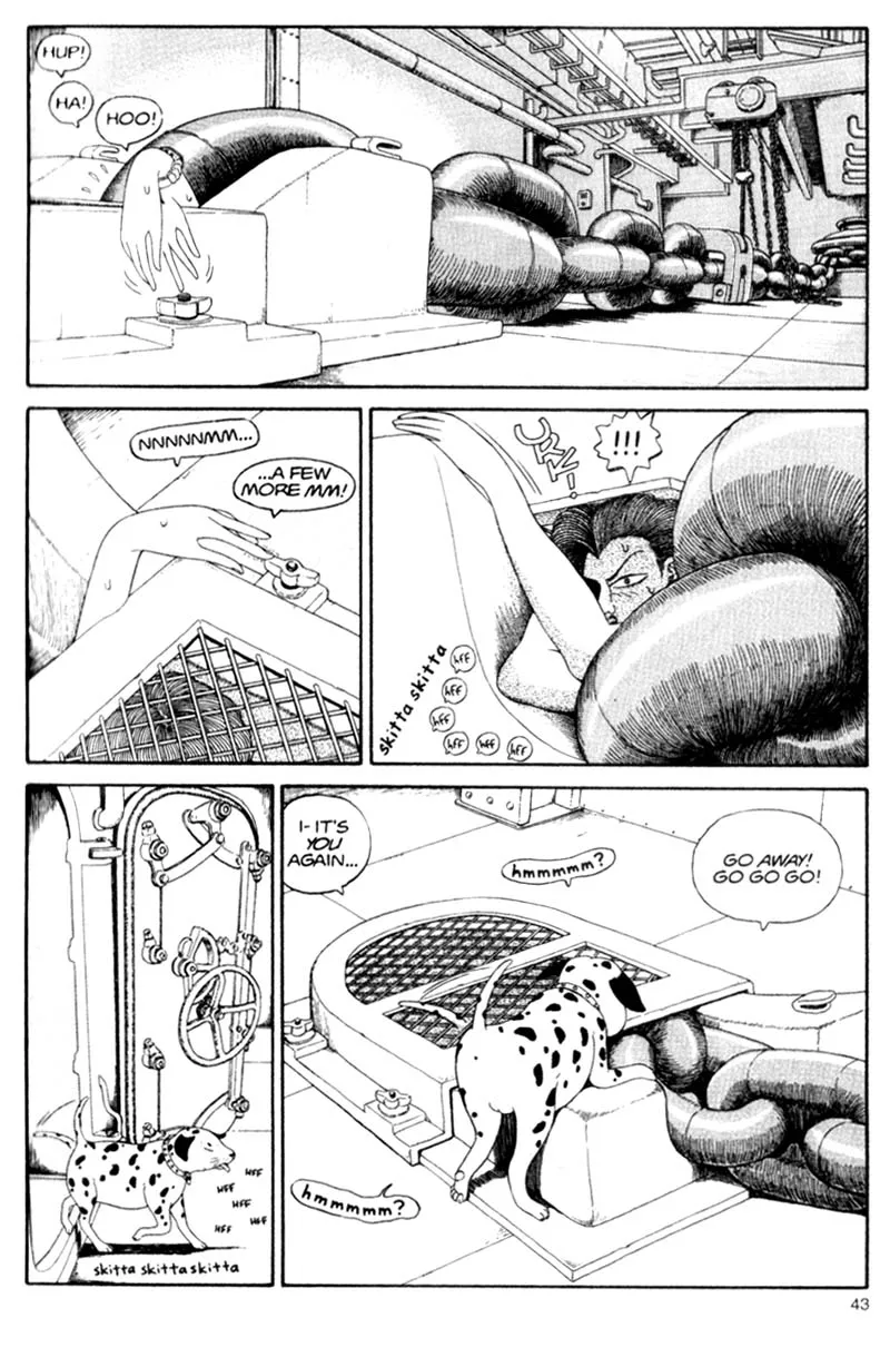 Page 43