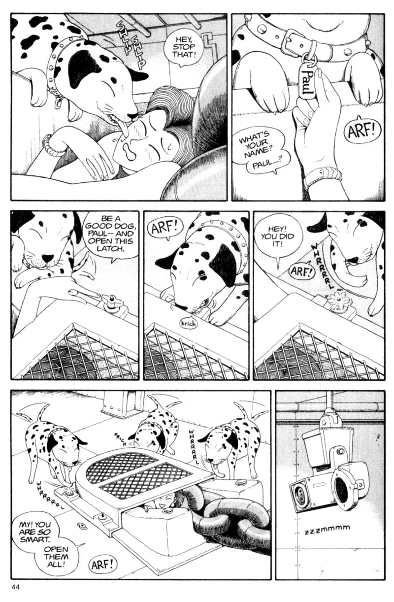 Page 44