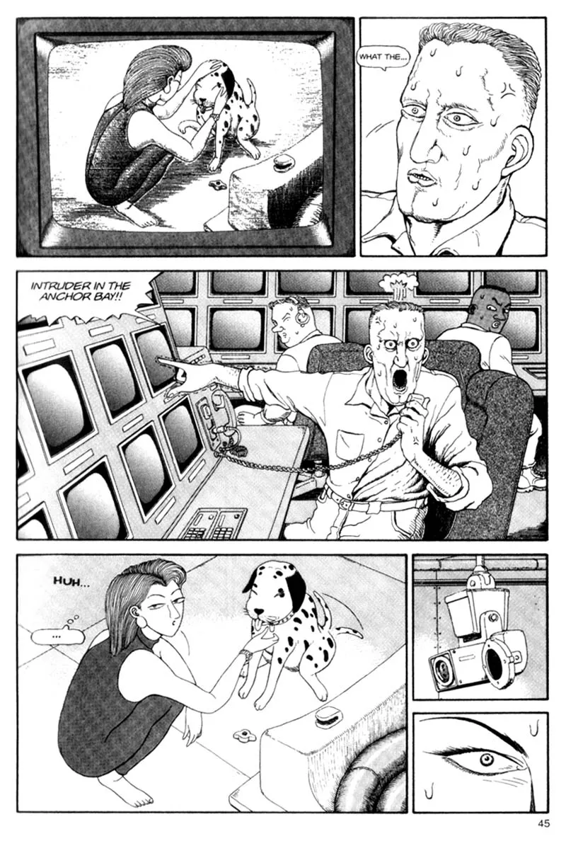 Page 45