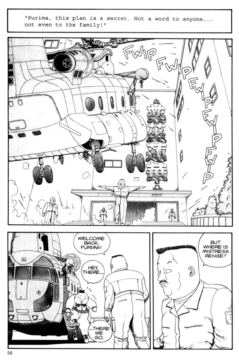 Page 56