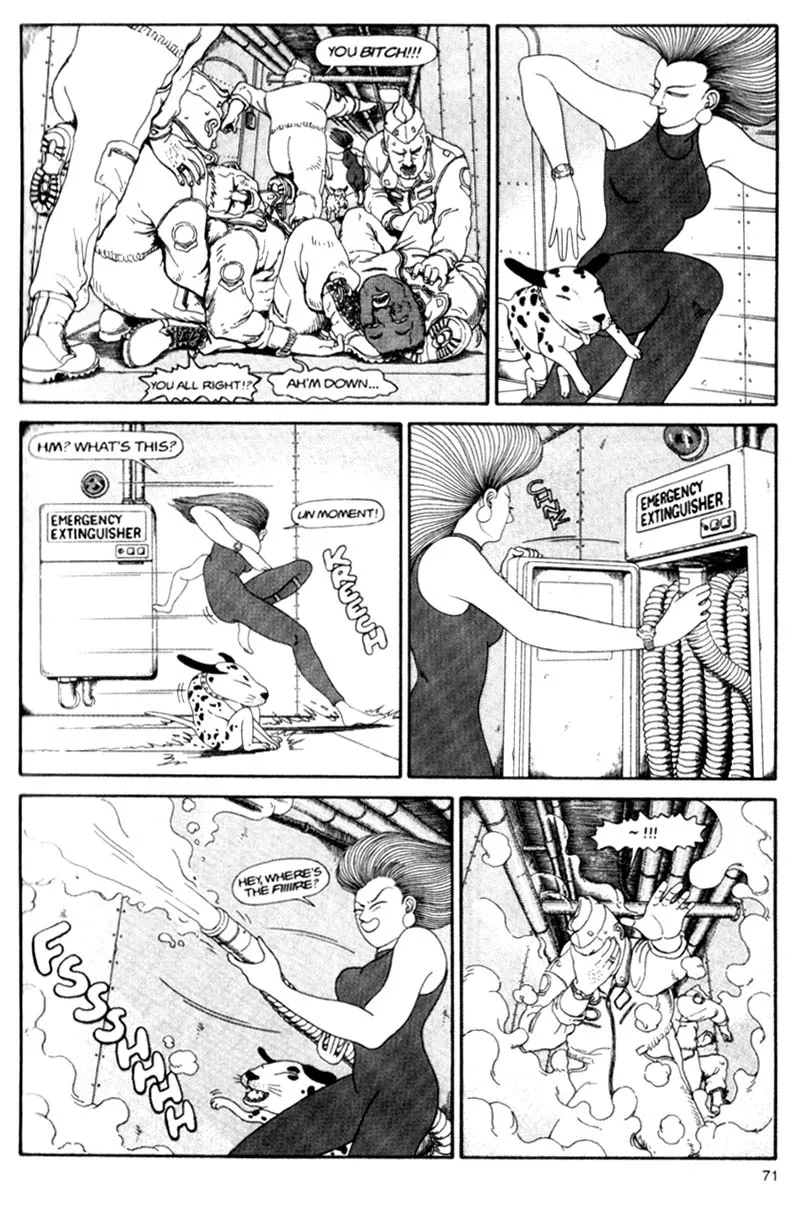 Page 71