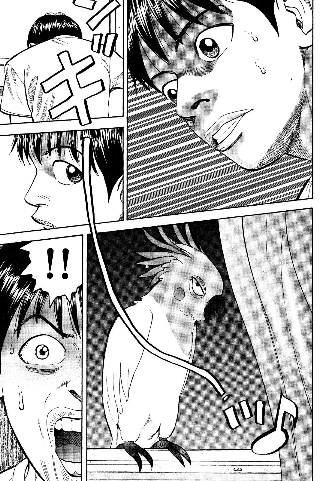 Page 43