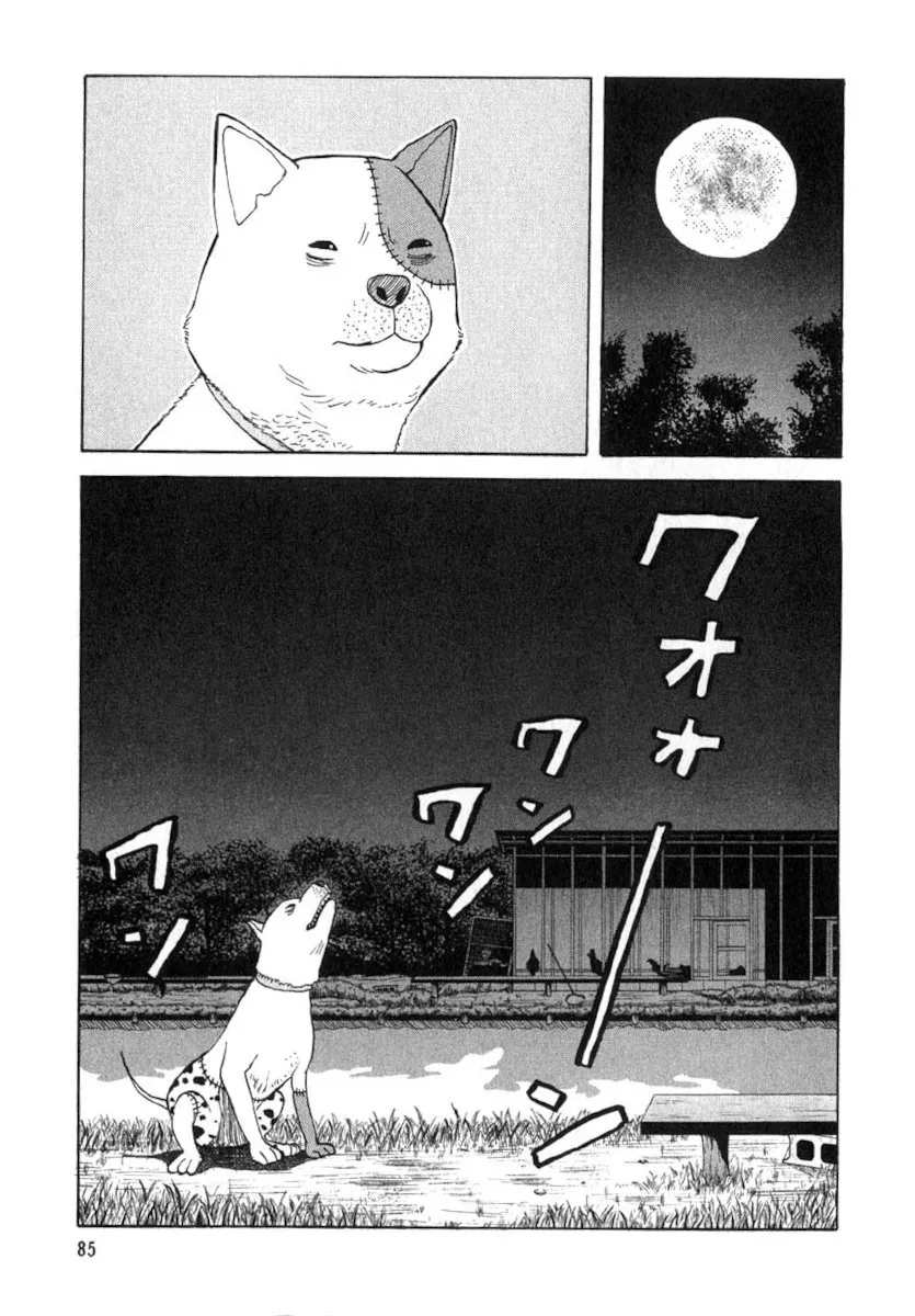 Page 84