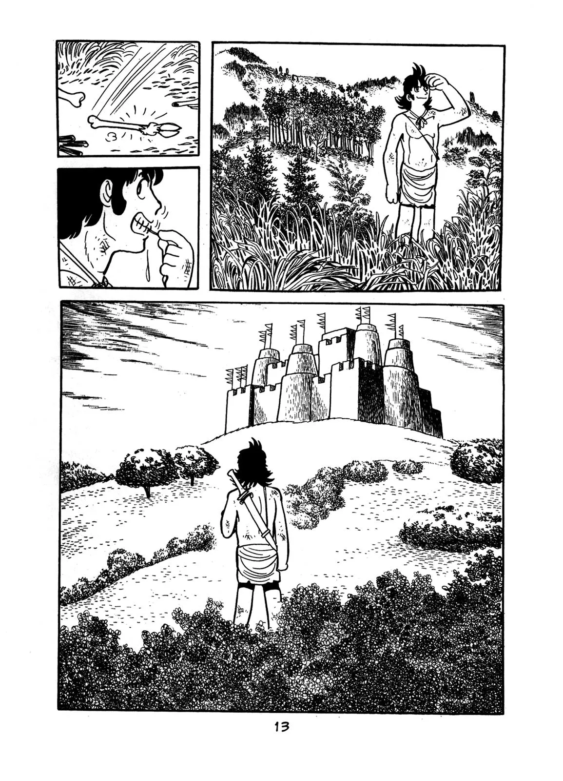 Page 13
