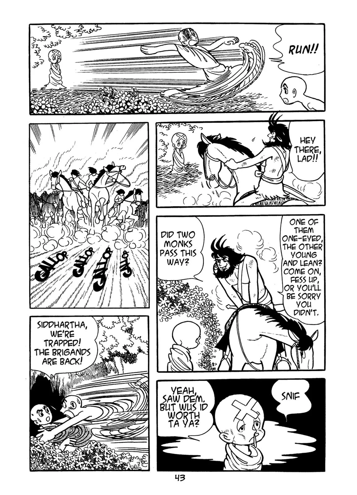 Page 43