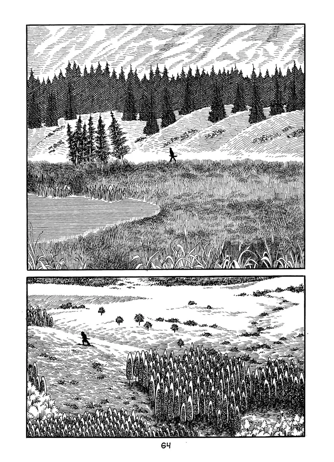 Page 62