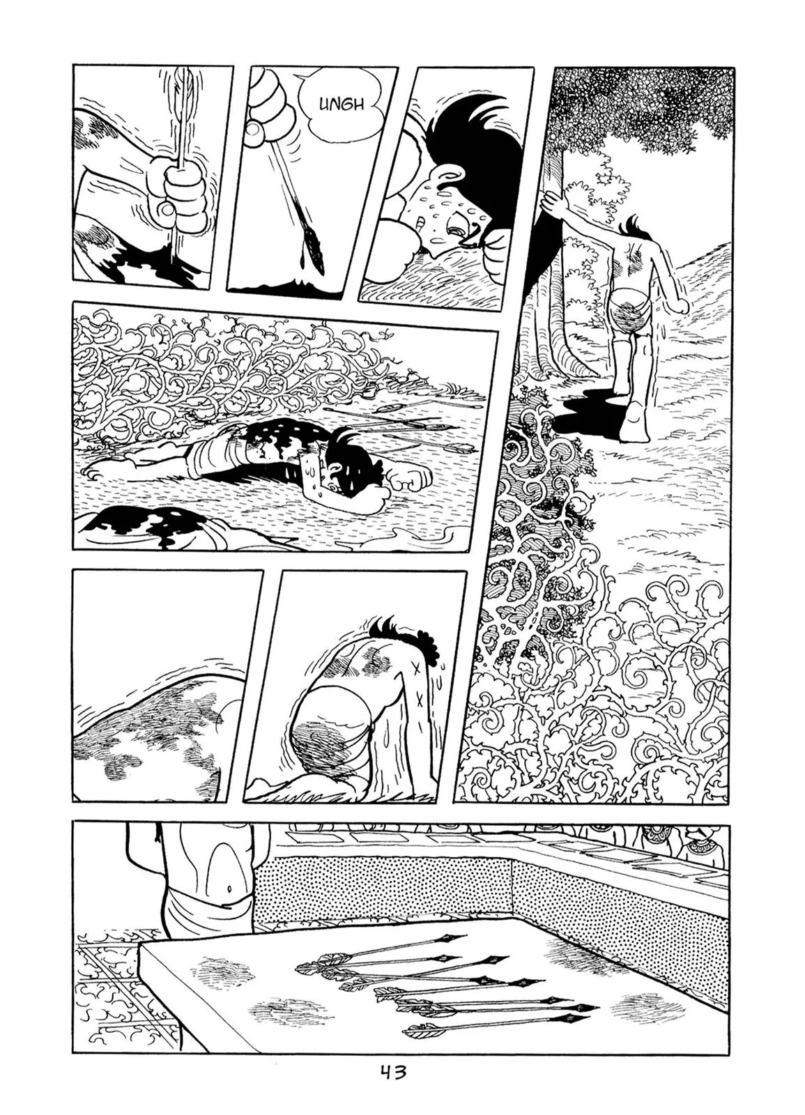 Page 43