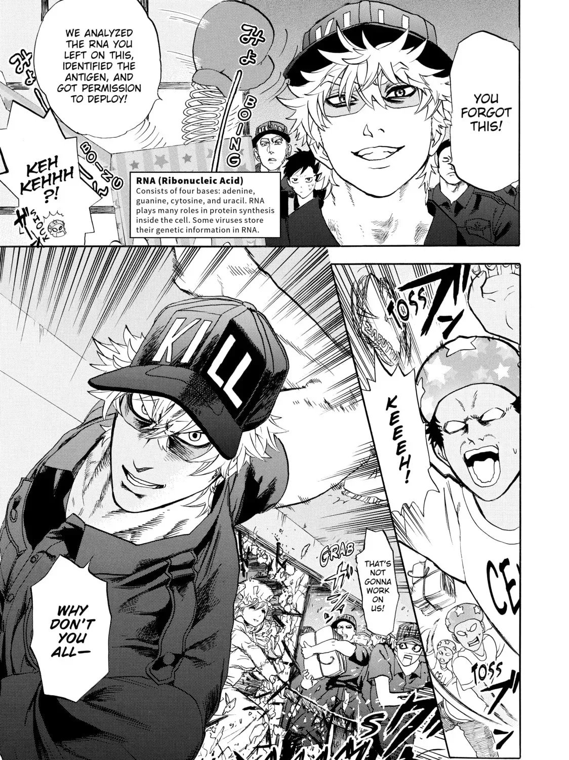 Page 43