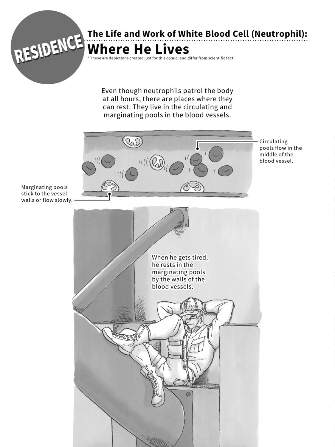 Page 61