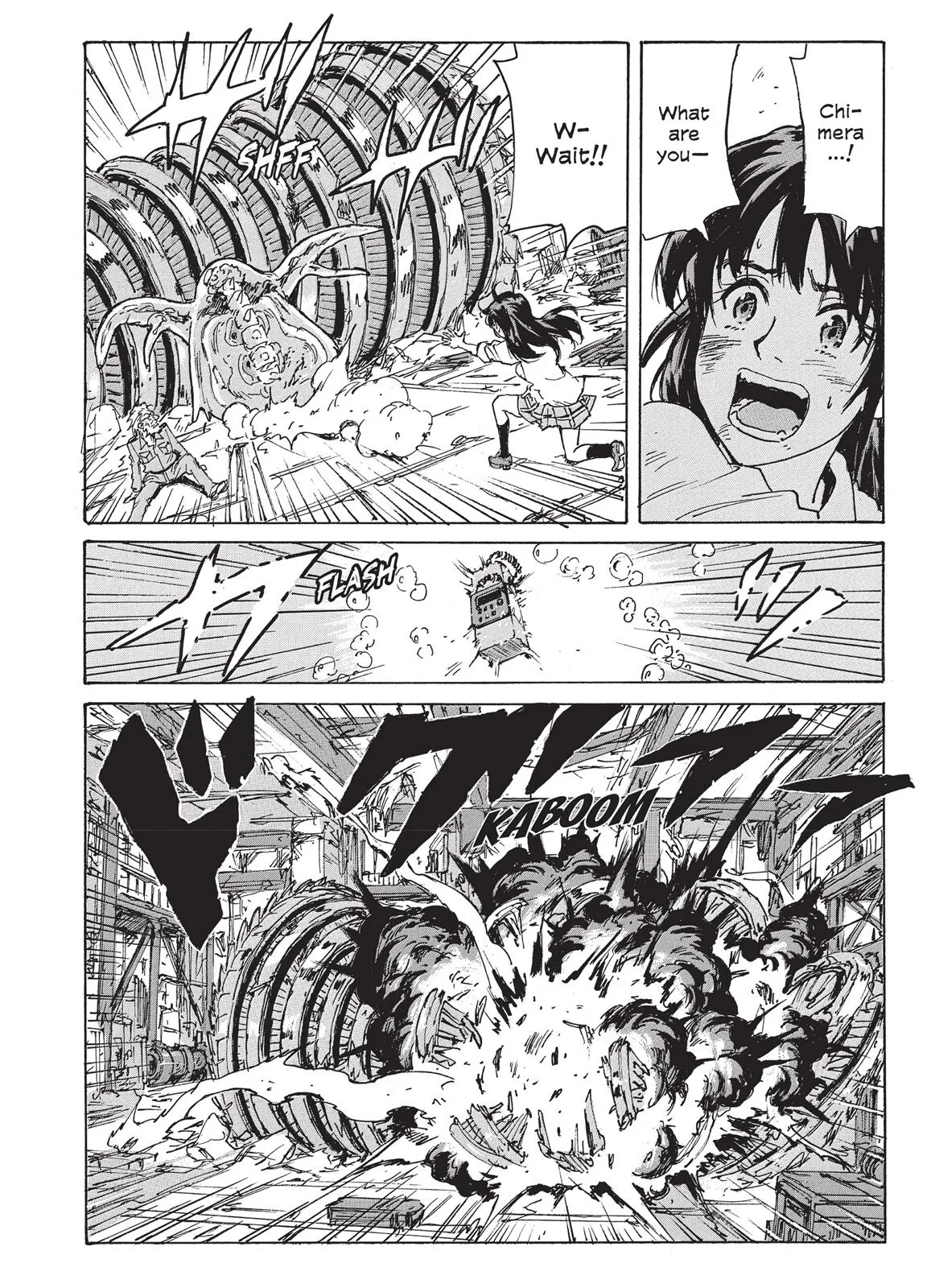 Page 113