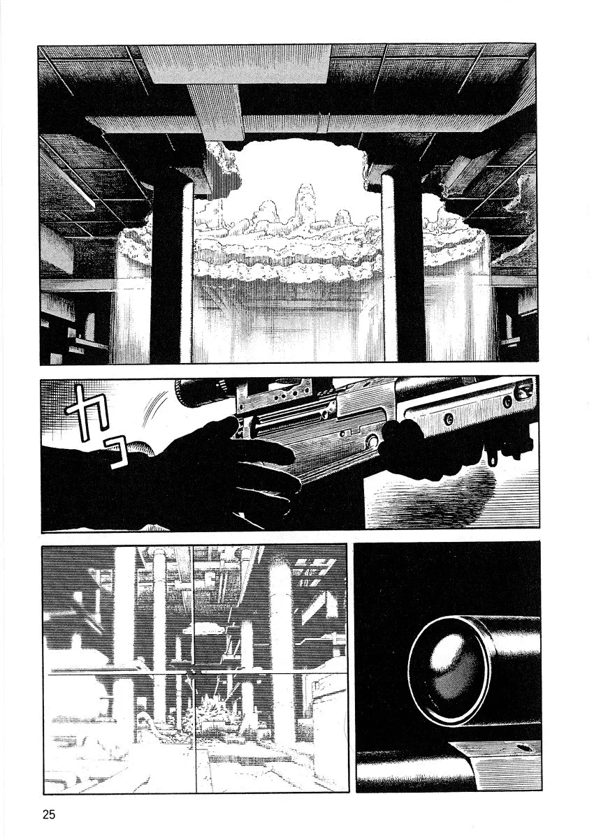 Page 25