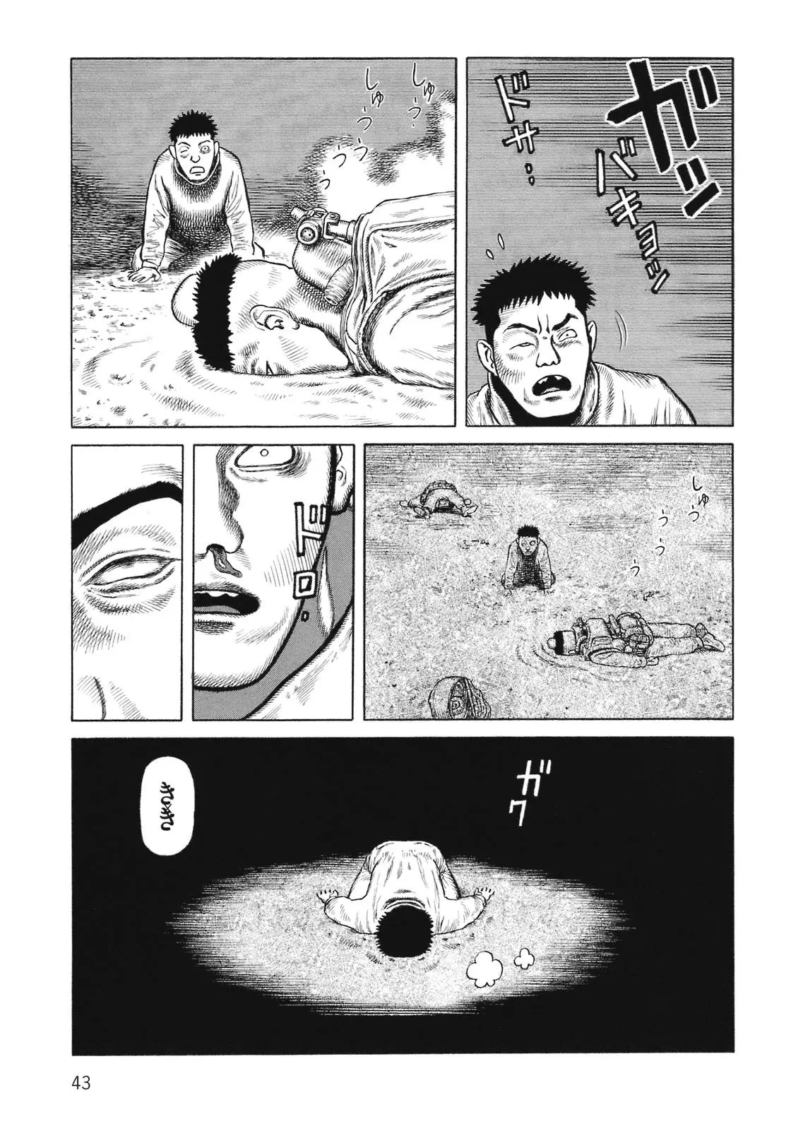 Page 43