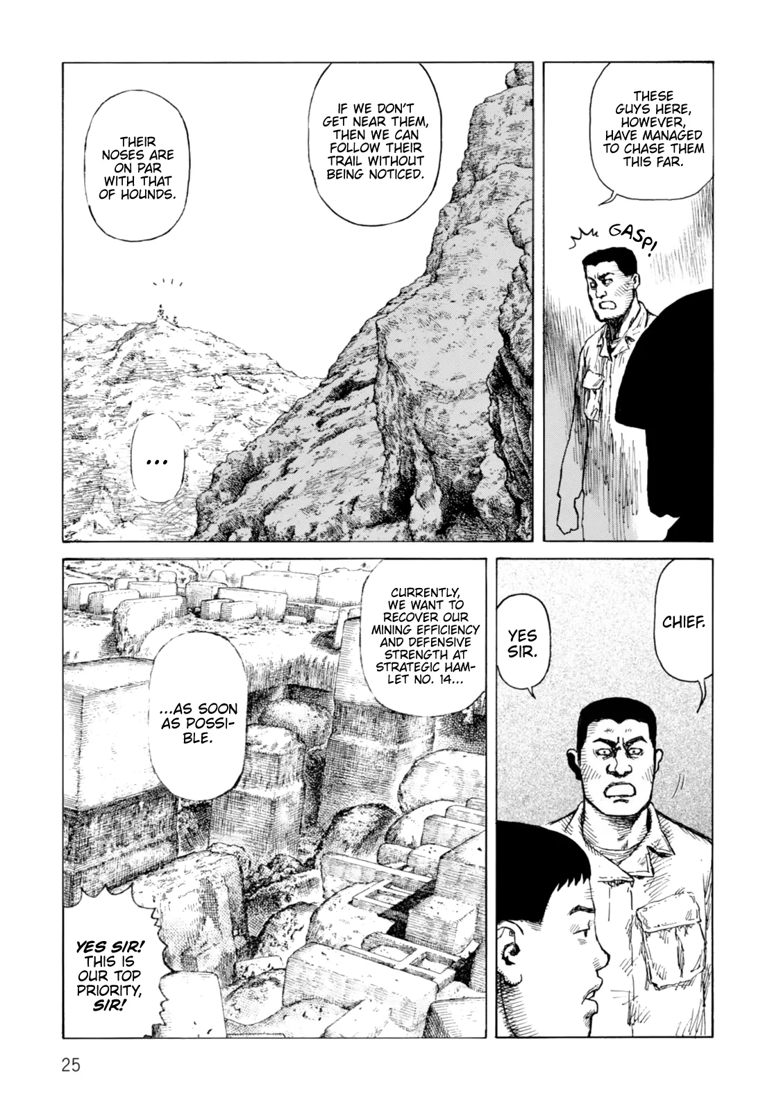Page 25