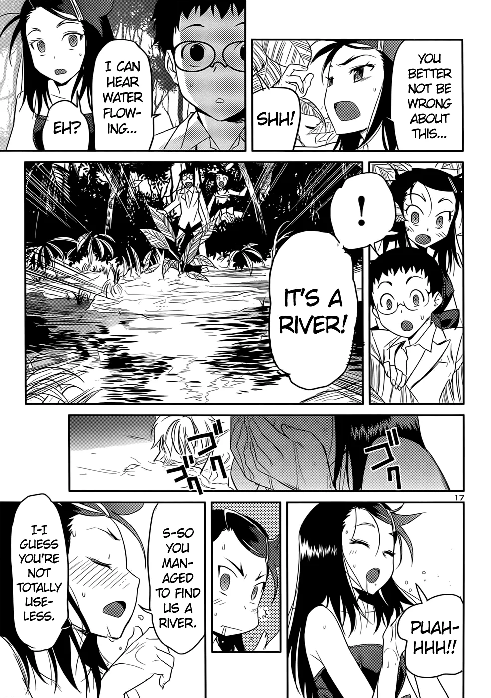 Page 17