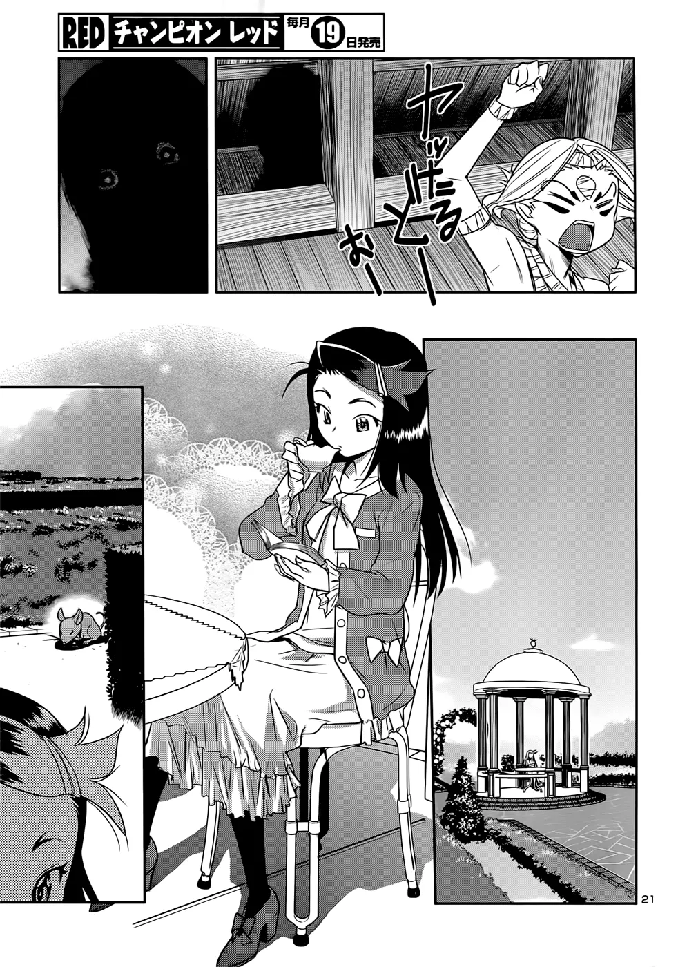 Page 21