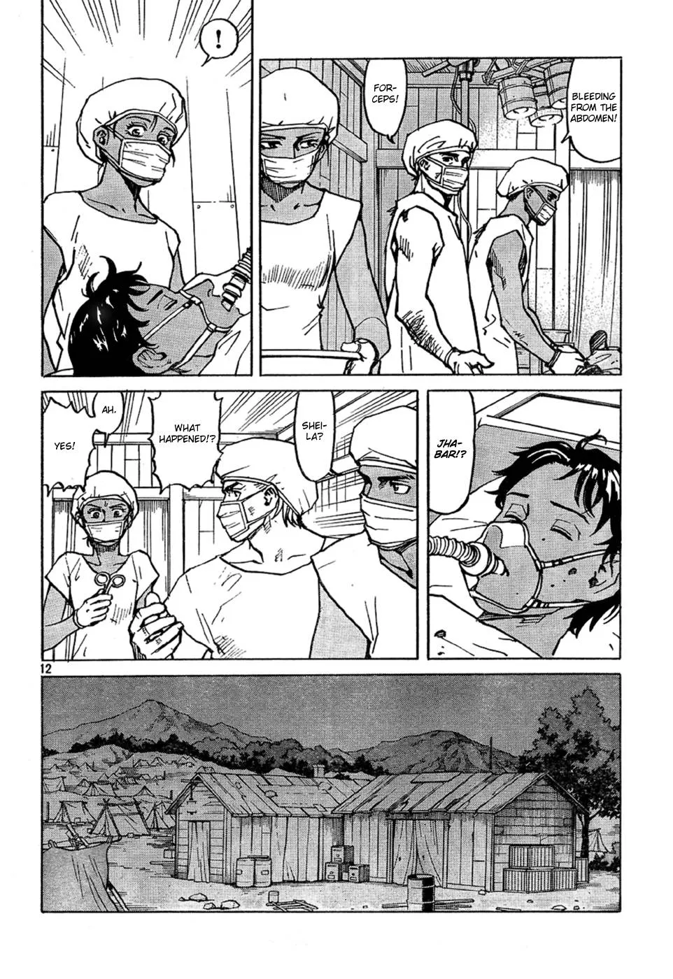 Page 12