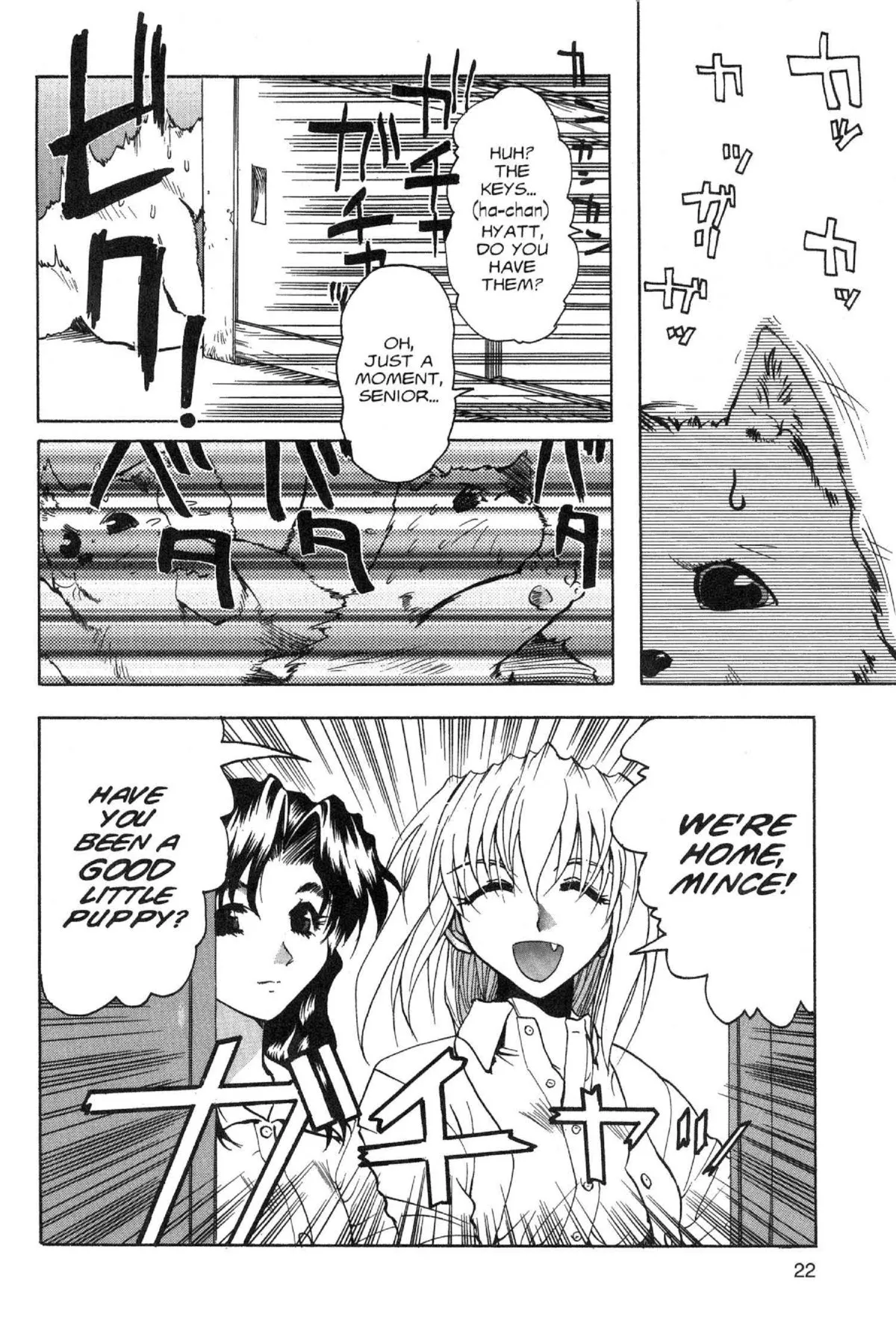 Page 22