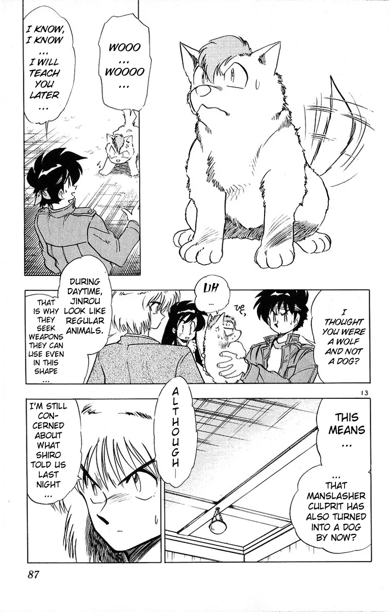 Page 13