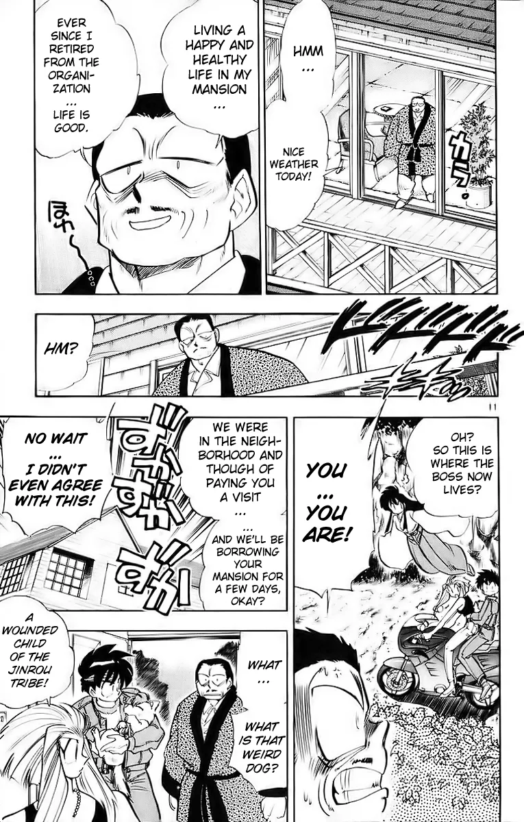 Page 11