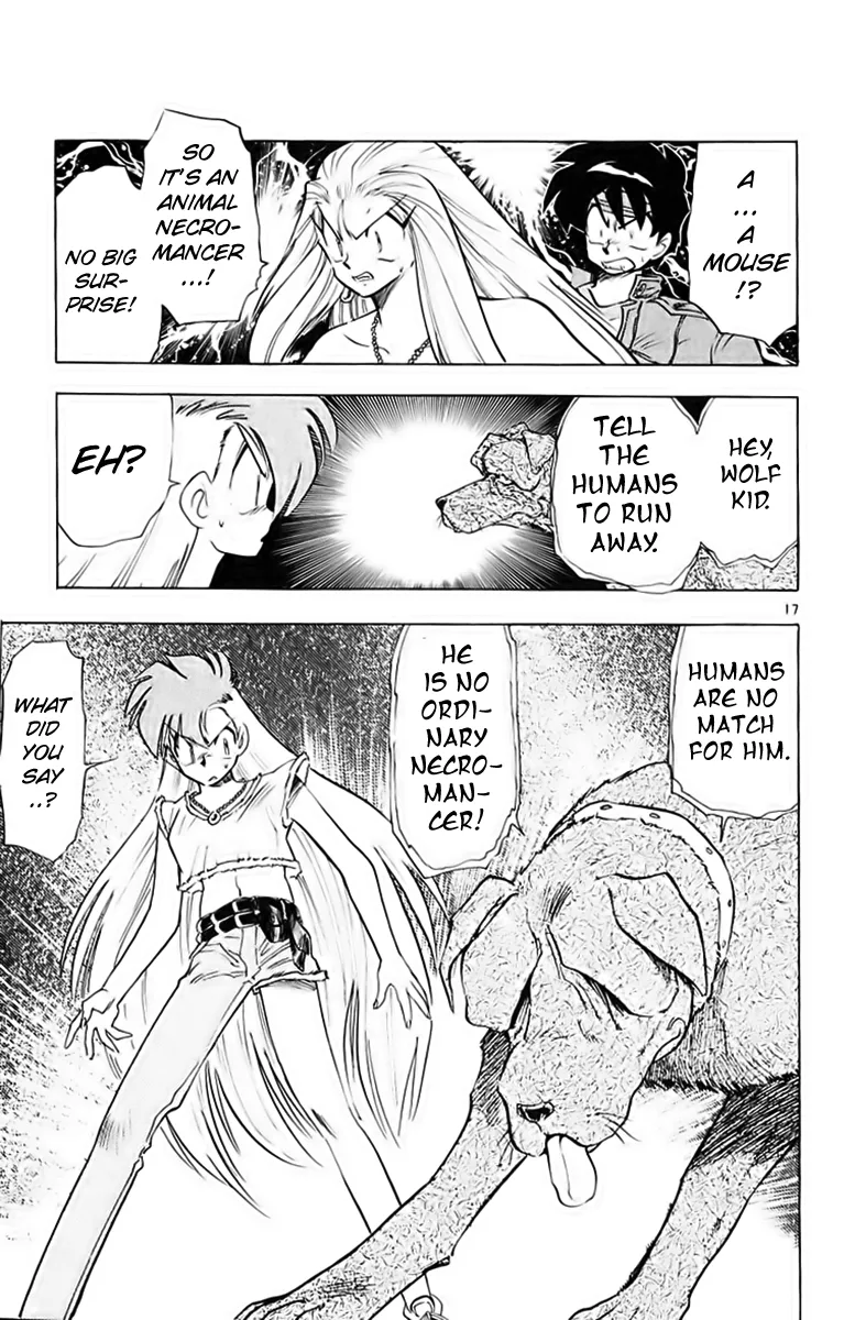 Page 17