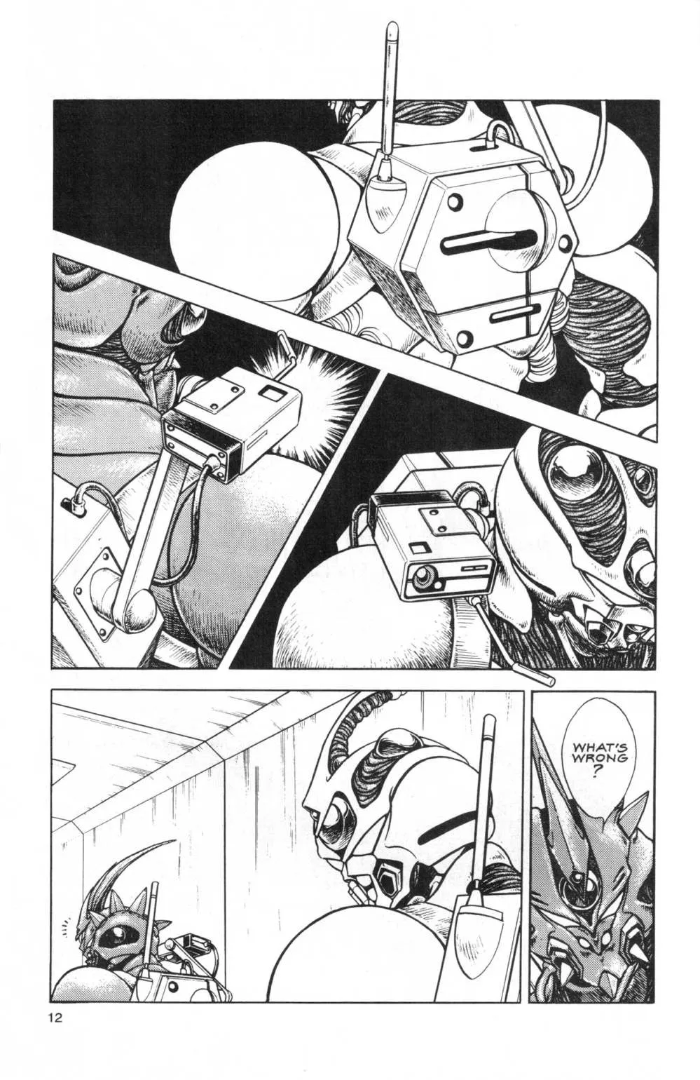 Page 12