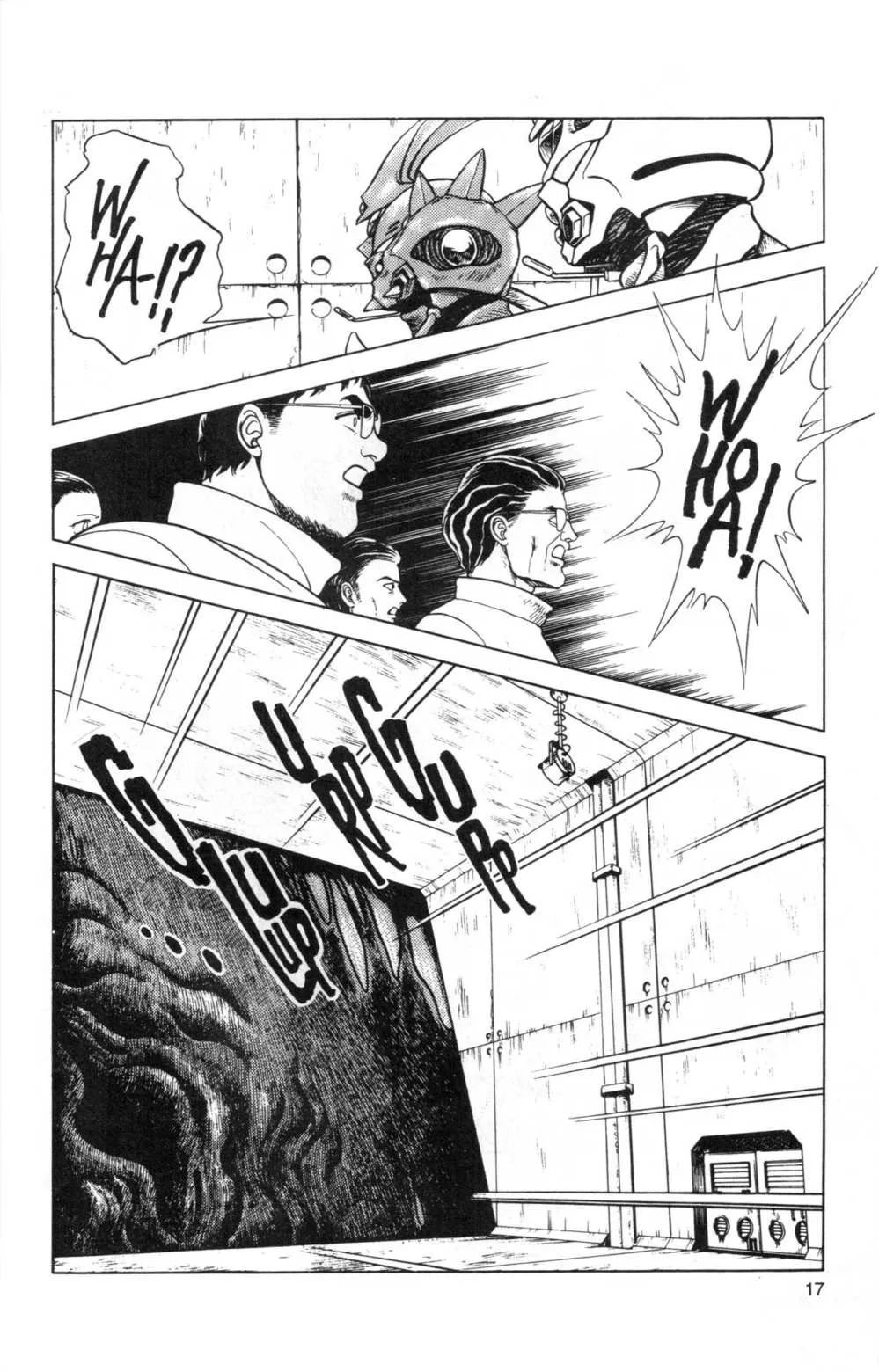 Page 17