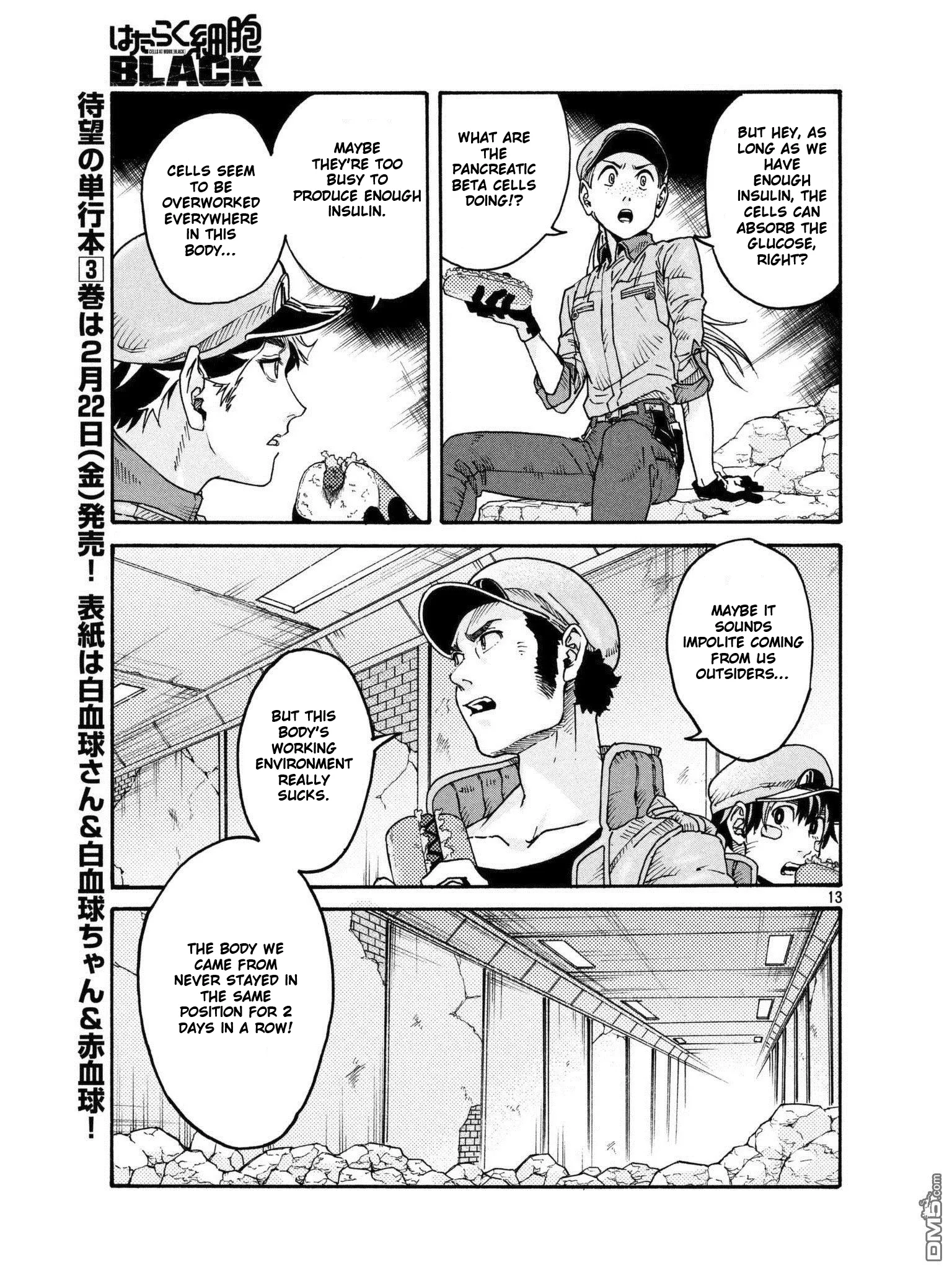 Page 13