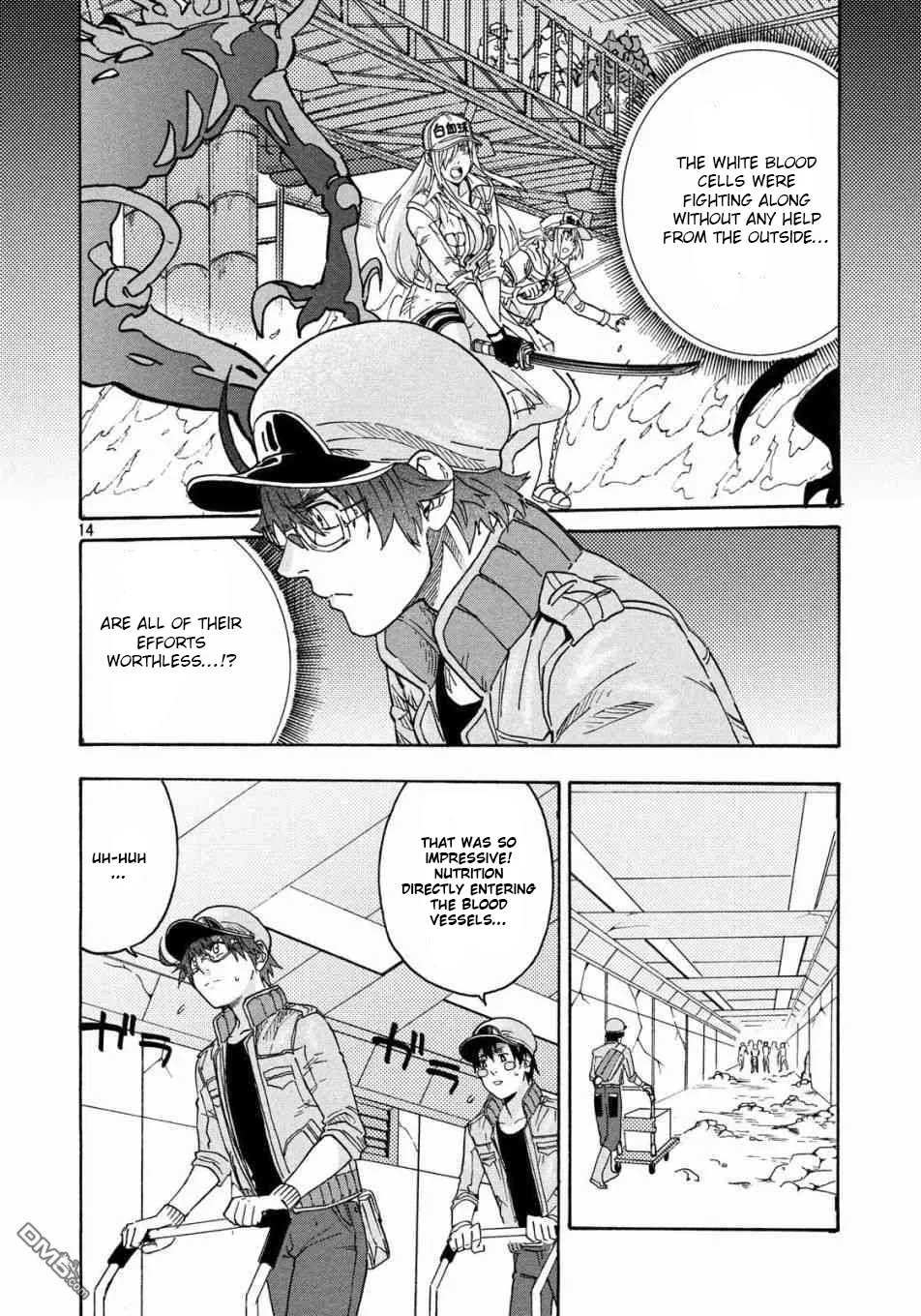 Page 14