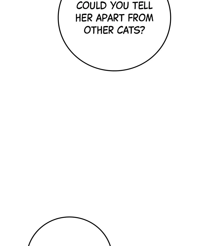 Page 211