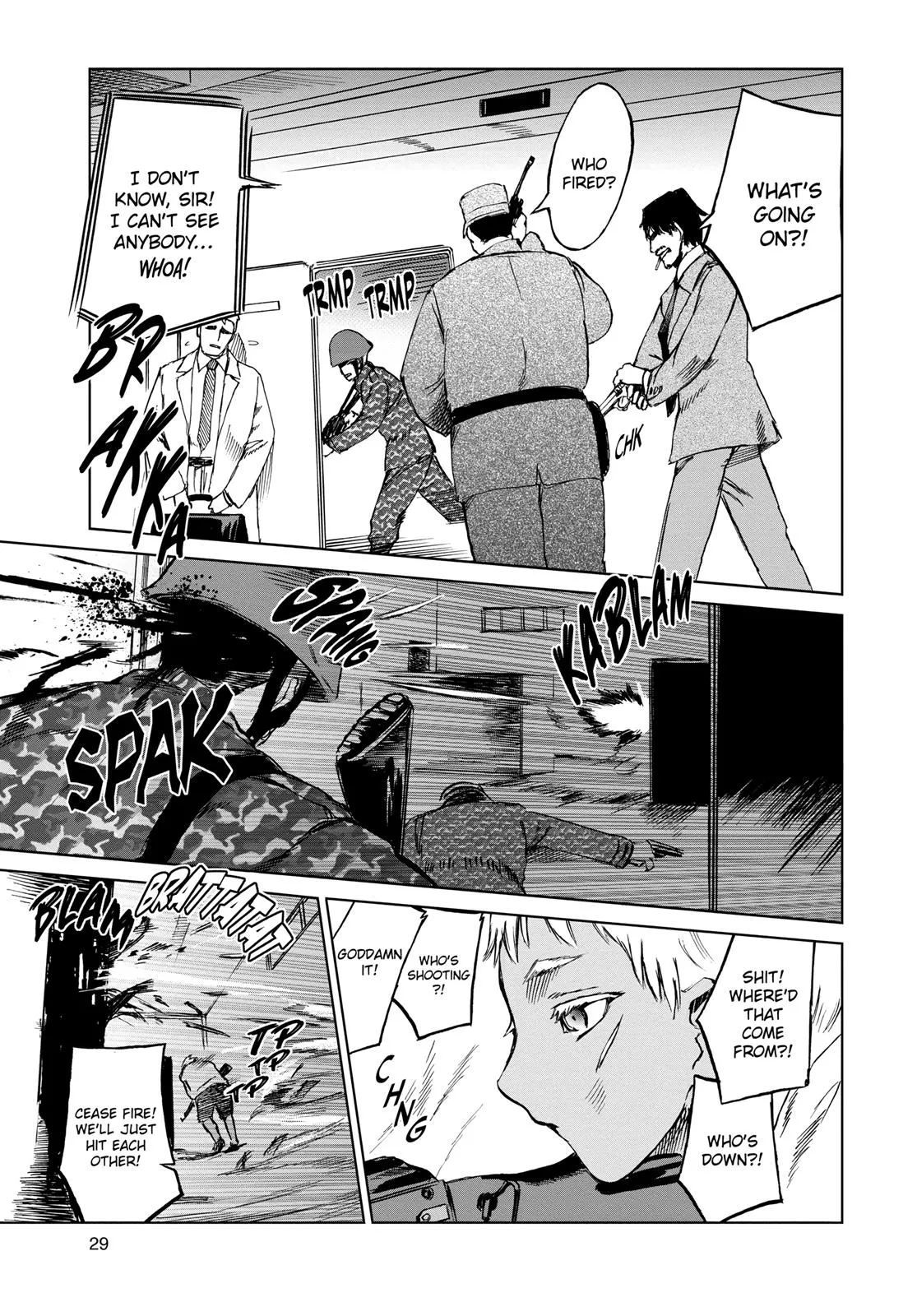 Page 29